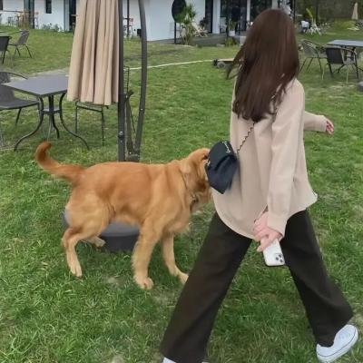 我的美女室友